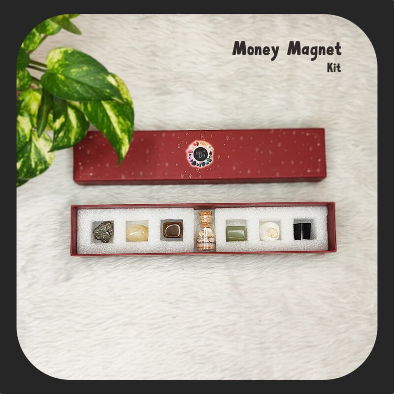 Money Magnet kit, gomati chakra, tiger stone, green aventurine, clear quartz, salt