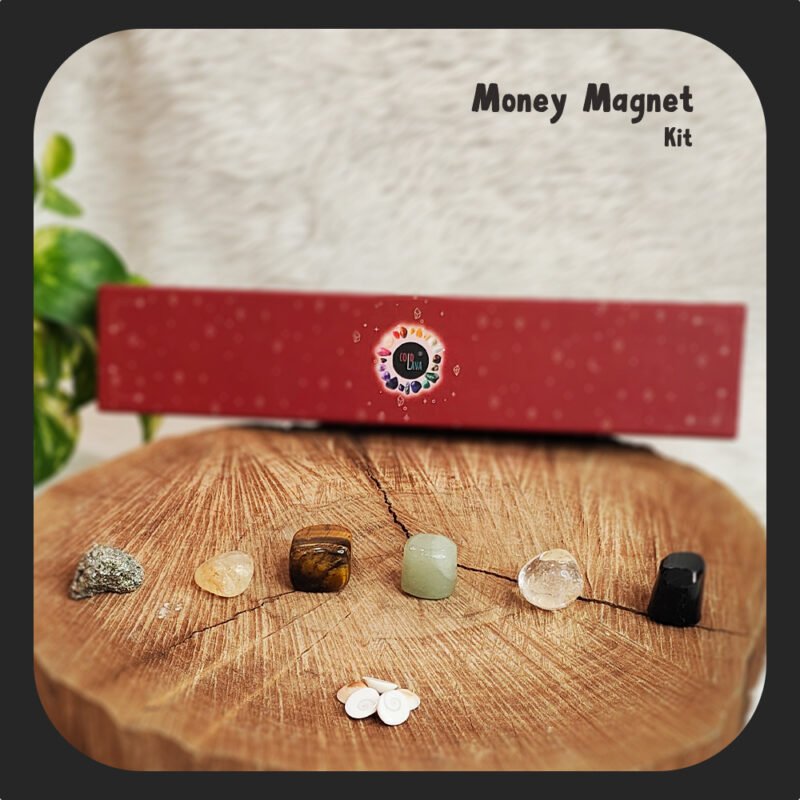 Money Magnet kit, gomati chakra, tiger stone, green aventurine, clear quartz, salt