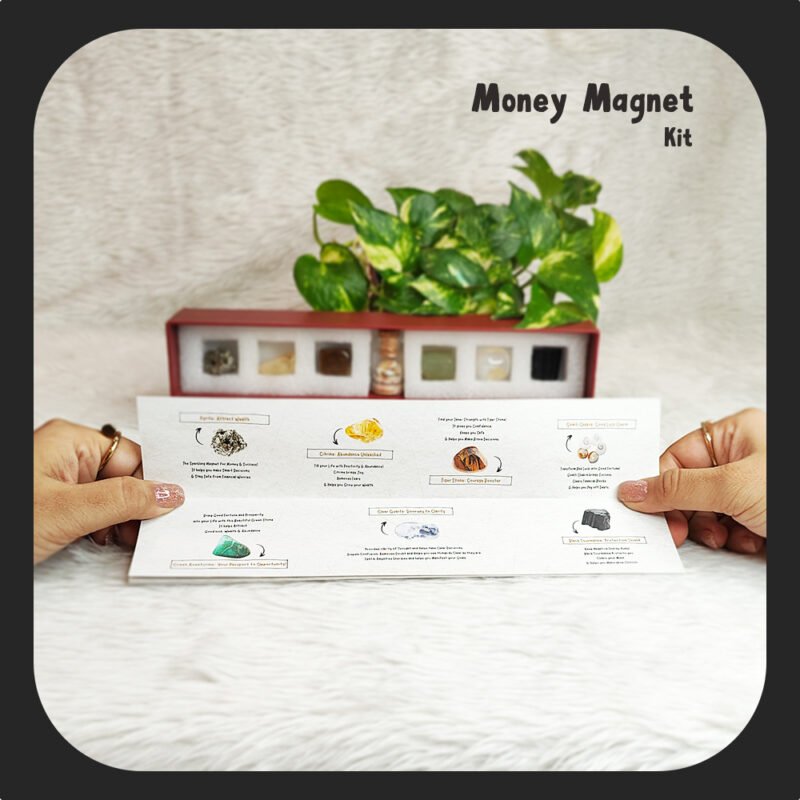 Money Magnet kit, gomati chakra, tiger stone, green aventurine, clear quartz, salt